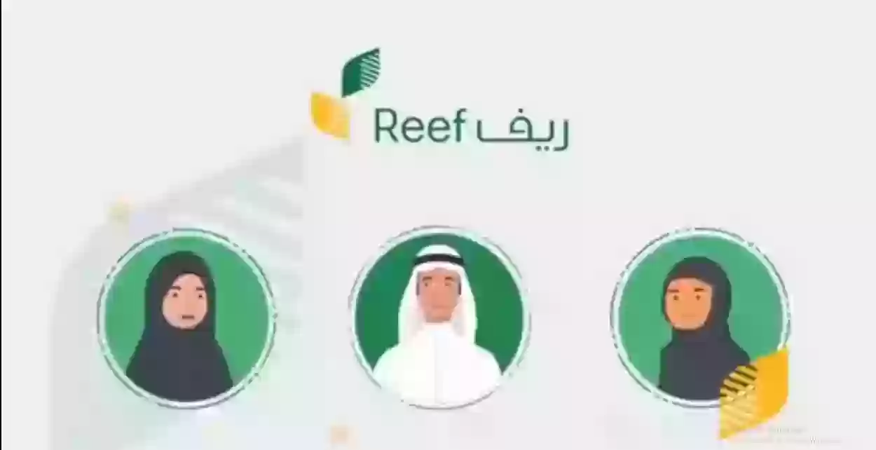 رابط الاستعلام عن دعم ريف متى ينزل