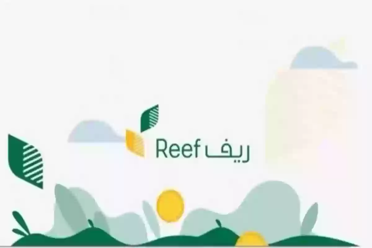 ريف يكشف أقصى مدة للرد على طلب الدعم وهذه إجراءات الاعتراض